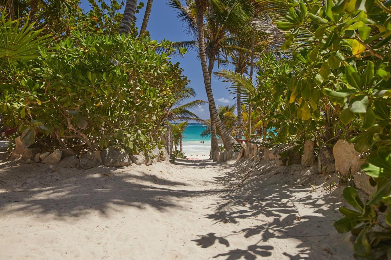 Dos Ceibas Tulum - Massage & Yoga Inclusive Hotel Екстериор снимка